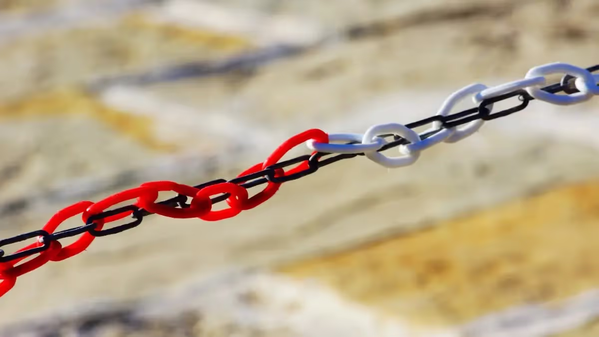 Sichtbarkeit: Das Kernelement der Händlerbestandsverwaltung